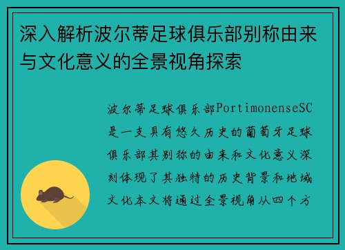 深入解析波尔蒂足球俱乐部别称由来与文化意义的全景视角探索